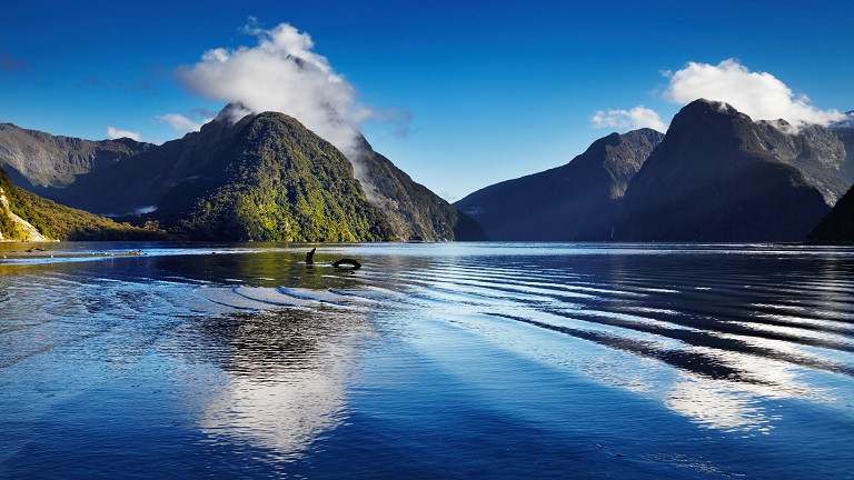 New Zealand Cairns Gold Coast Holiday Packages